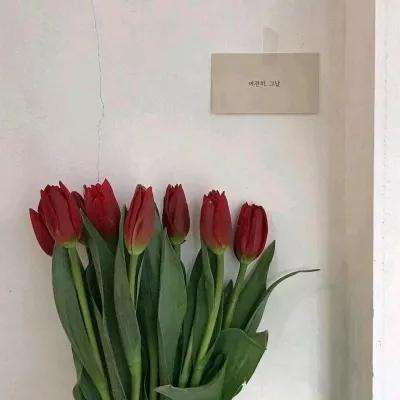 王城霸主分身高爆版下载